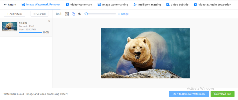 Start to Remove Watermark 