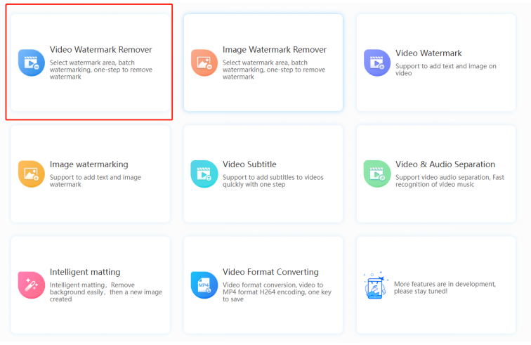 Video Watermark Remover