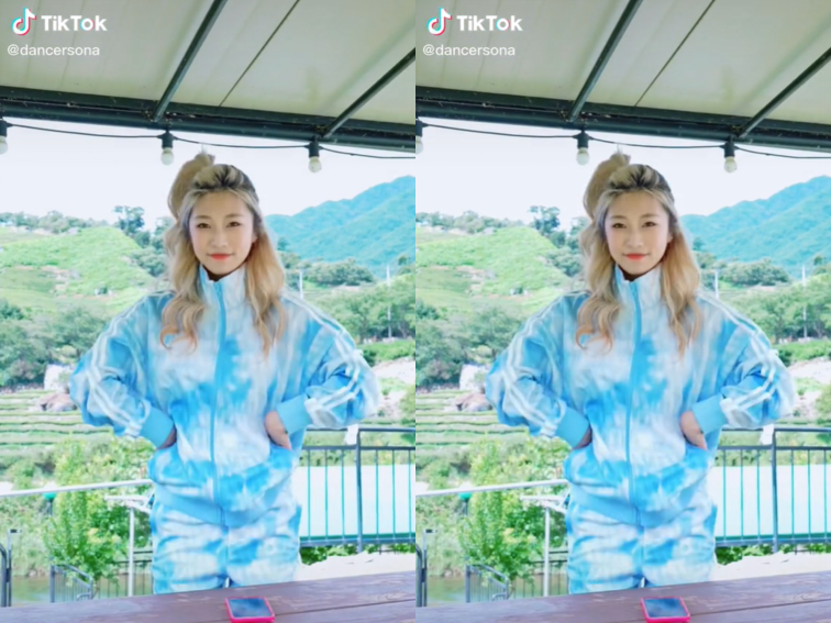 How to Remove TikTok Watermark from Video Online?