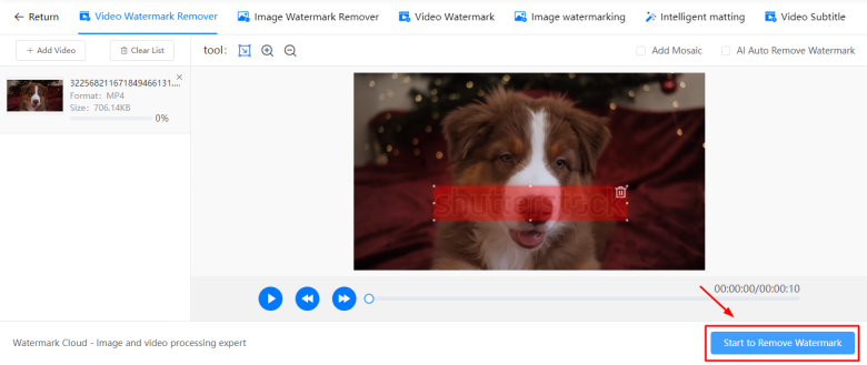 Start to remove watermark