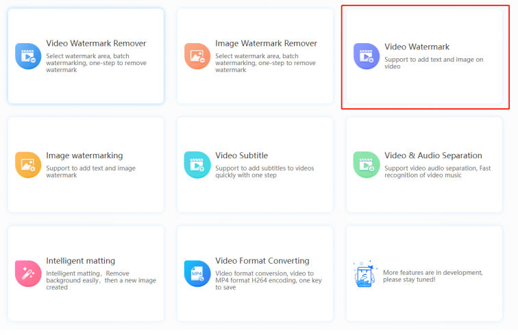 Video Watermark