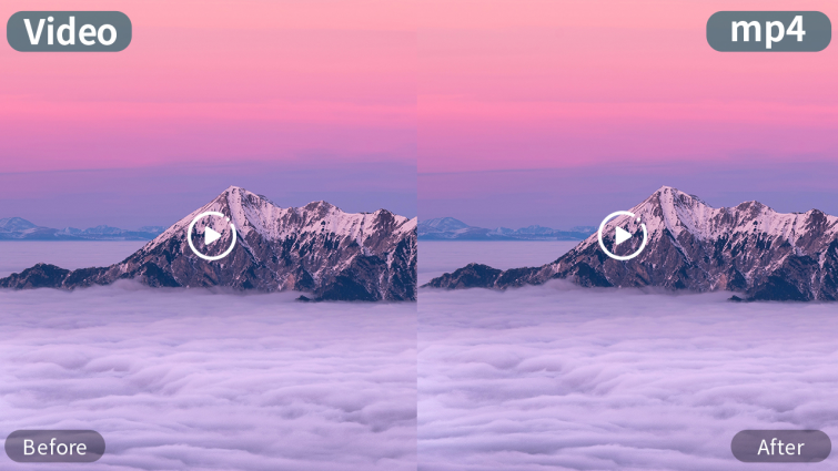 Best Instagram Converter to MP4: Watermark Cloud
