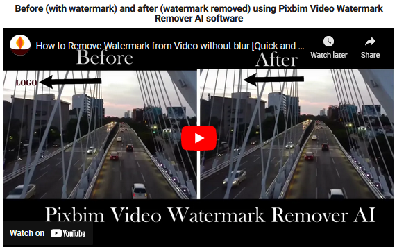 pixbim-video-watermark-remover.png
